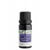 Nobilis Tilia Bio Eukalyptus radiata 2 ml tester sklo