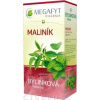 Megafyt Pharma s.r.o. MEGAFYT Bylinková lekáreň OSTRUŽINA MALINOVÁ - bylinný čaj 20x1,5 g (30 g)