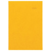 GRASPO Diár Viva denný A5 14,8 x 21 cm žltý 2026