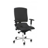 ASANA Seating Ergonomická kancelárska stolička Asana Steel Standard bez opierok Farba: Antracitová 525