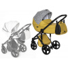 Tudore Forester 2v1 Amber