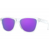Sportovní brýle Oakley OJ9006 FROGSKINS XS PRIZM – 14