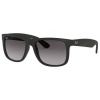 Ray-Ban Justin RB4165 601/8G
