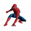 CUKROVÁ TLAČ jedlý obrázok na tortu Cukrová hmota Spiderman Spider + MENO TEXT