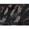 2CD Stray Kids: Scars / ソリクン LTD