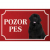 Novofundlandský pes - Kovová tabuľka POZOR PES