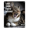 EBI D&D kovová tabuľa: ,,Let the cats sleep\