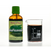 Skořicovník (skořice) - bylinné kapky (tinktura) 50 ml - doplněk stravy