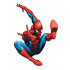 CUKROVÁ TLAČ jedlý obrázok na tortu Cukrová hmota Spiderman 11 + MENO TEXT