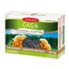 Terezia Company Reishi ,Čaga a Rakytník 60 kapsúl