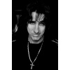 Plagát, Obraz - Alice Cooper, Michel Linssen, 26.7 × 40 cm