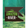 ESD GAMES ESD Ultimate Fishing Simulator Amazon River