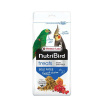 VERSELE LAGA Orlux NutriBird Treats Gold Patee Forest Fusion 250g