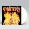 LP Pantera: Reinventing The Steel CLR | LTD