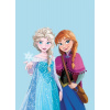 FARO Fleece deka Ľadové Kráľovstvo Anna a Elsa Polyester, 100/140 cm