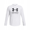 Under Armour mikina s kapucňou Rival Terry Graphic Hoody 1386047-100