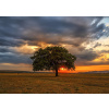 ENJOY Puzzle Súmrak 1000 dielikov