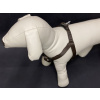 Palkar motýlik postroj pre psov 44 cm - 62 cm veľ. 2 hnedá (Palkar motýlik postroj pre psov 44 cm - 62 cm veľ. 2 hnedá)