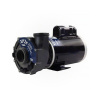 Gecko Alliance Gecko Aqua-flo Flo-Master Masážne čerpadlo XP2e - 2 HP (2-Speed) (60hZ) - 05320761-2040