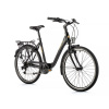 Leader Fox DOMESTA 26