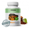 MycoMedica Chaga 90 kapsúl