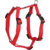 Postroj nylon Ziggy červený S 1,5x35-50cm Flamingo