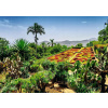 RAVENSBURGER Kúzelné záhrady Botanická záhrada Madeira 1000 dielov