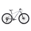 CTM Rambler 3.0 29