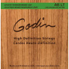 GODIN Strings Acoustic Guitar LT