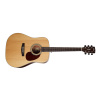 CORT Earth 100 NS