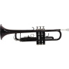Trúbka TP-10 Bb Trumpet black Dimavery