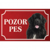 Novofundlandský pes - Kovová tabuľka POZOR PES