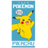 Pokémon Osuška Pokemon Team Pikachu