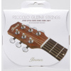 Ibanez IPCS6C struny na akustickú gitaru
