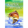 Kapřík Metlík a naděje - Jan Opatřil