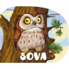 collegium - Sova