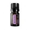DoTerra Tulsi Holy Basil Bazalka posvätná 5 ml (Bazalka posvätná)