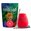 Štartovacia sada pre Yerba Mate Energia Tykva 500 g