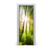 Fototapeta na dvere samolepiace slnka v lese 75x205