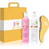 milk_shake Colour Care Milk Shake Color Care Flower Fragrance hydratačný šampón na ochranu farby 300 ml + Milk Shake Color Care Flower Fragrance hydratačný kondicionér na ochranu farby 250 ml + Detang