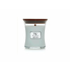 WoodWick Vonná svíčka váza malá Magnolia Birch 85 g