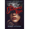 The Darkness Rises - Stacy Stokes