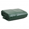zahrada-XL Celta, zelená 2x3 m 650 g/m² 156131