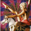 CD/DVD P!NK: Funhouse
