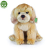 Rappa Plyšový labrador sediaci 27 cm ECO-FRIENDLY
