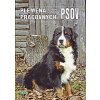 Plemená pracovných psov - Zajac Ján