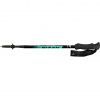 Trekové palice Fizan Compact 4 Watter Green