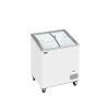 TEFCOLD IC 201 SCEB