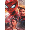 CUKROVÁ TLAČ jedlý obrázok na tortu Cukrová hmota Spider-Man No way home Avengers