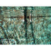 ALKORPLAN TOUCH - Authentic, 1,65 m šírka, 2,0 mm, 25 m rolka